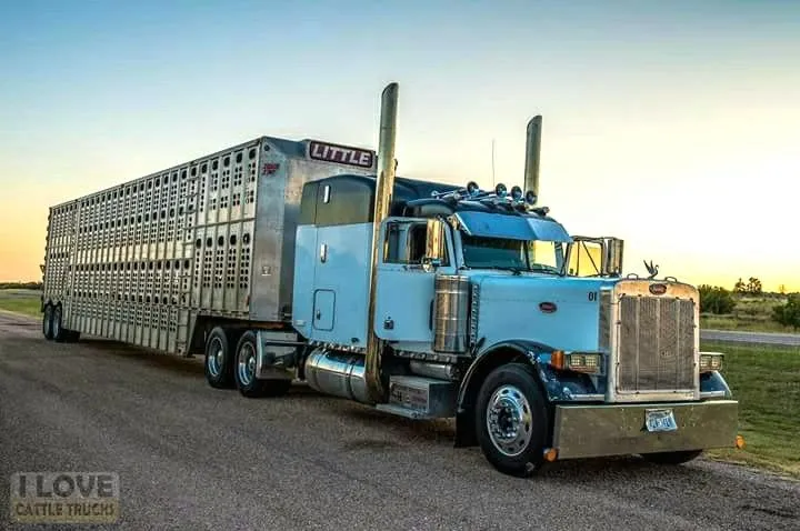 52069 peterbilt 379 engine chassis