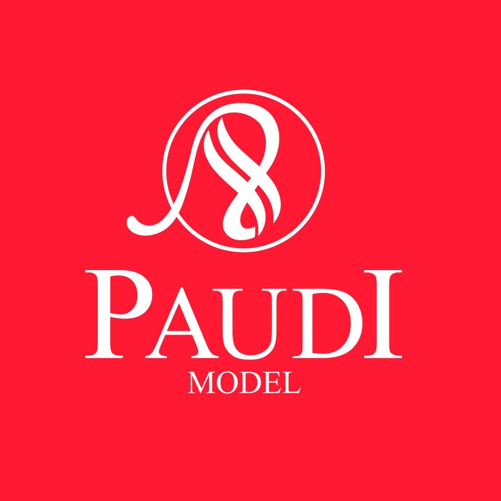 52105 paudi diecast models 2
